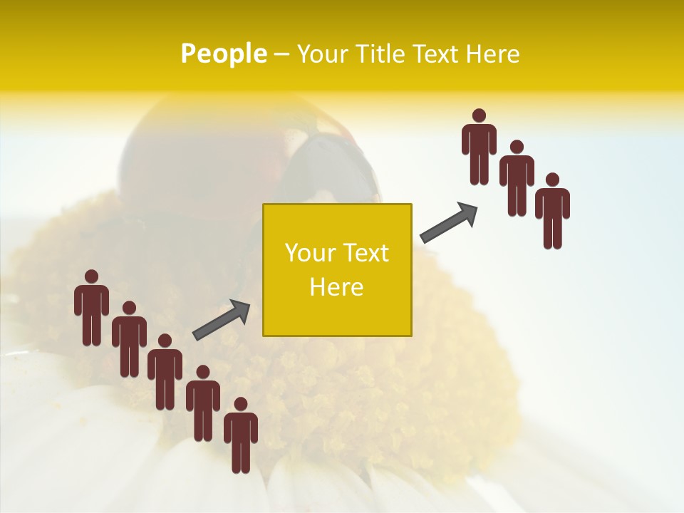 Nature Macro Colored PowerPoint Template