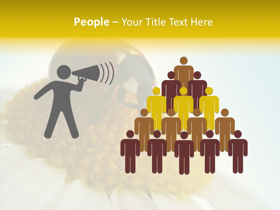 Nature Macro Colored PowerPoint Template