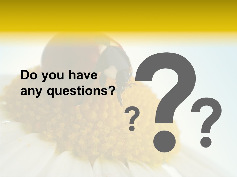 Nature Macro Colored PowerPoint Template