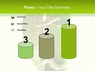 Arboricole Isolated Wild PowerPoint Template