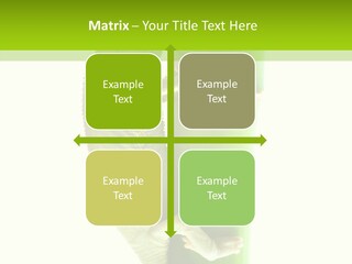 Arboricole Isolated Wild PowerPoint Template