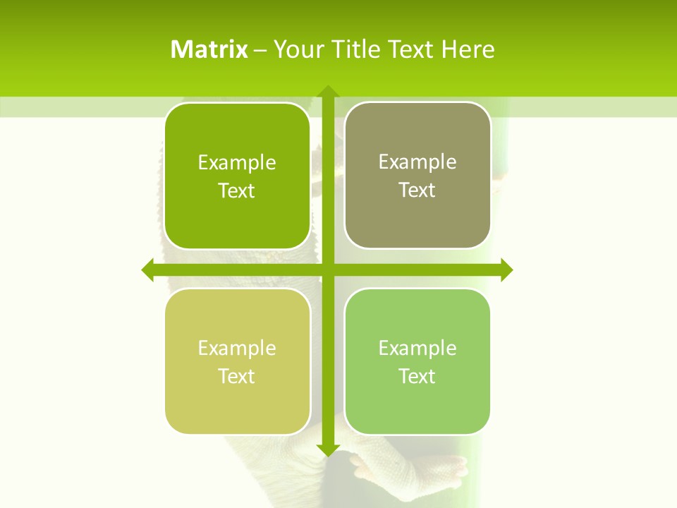 Arboricole Isolated Wild PowerPoint Template