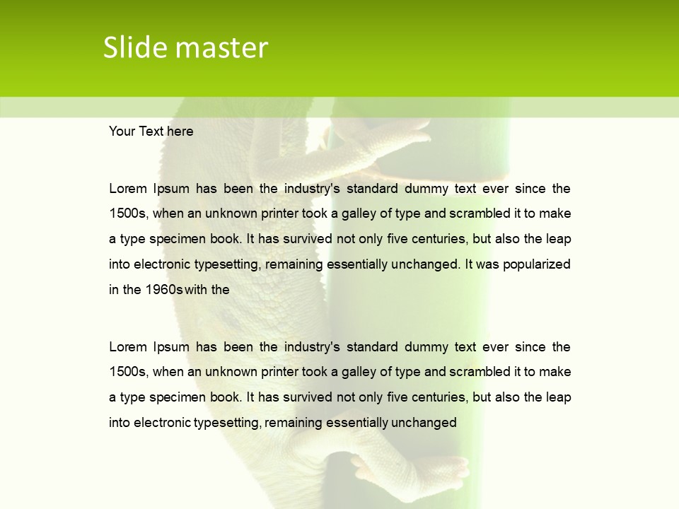 Arboricole Isolated Wild PowerPoint Template