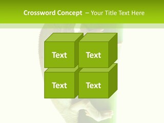 Arboricole Isolated Wild PowerPoint Template