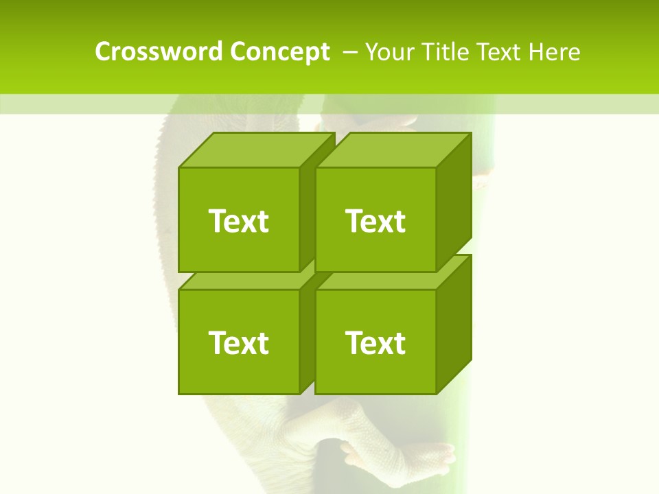 Arboricole Isolated Wild PowerPoint Template
