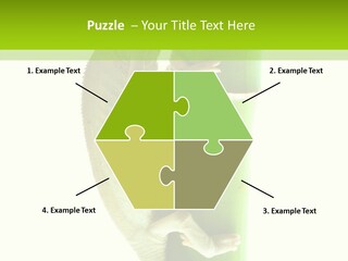 Arboricole Isolated Wild PowerPoint Template