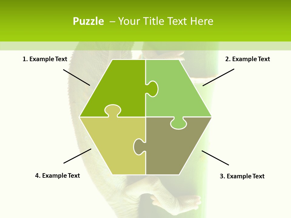 Arboricole Isolated Wild PowerPoint Template