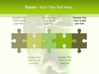 Arboricole Isolated Wild PowerPoint Template