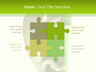 Arboricole Isolated Wild PowerPoint Template