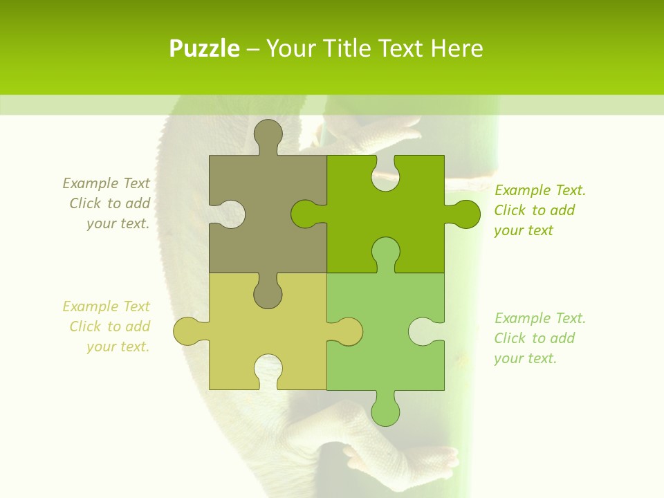 Arboricole Isolated Wild PowerPoint Template