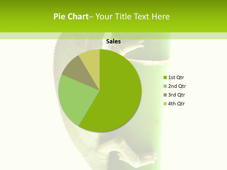 Arboricole Isolated Wild PowerPoint Template