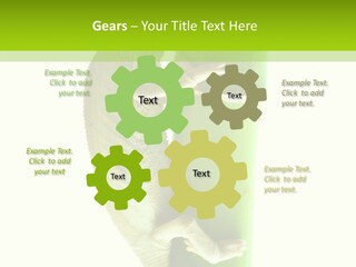 Arboricole Isolated Wild PowerPoint Template