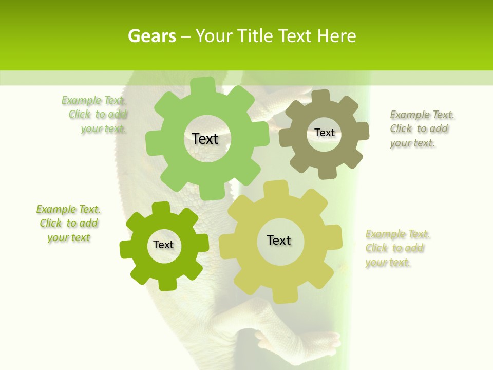 Arboricole Isolated Wild PowerPoint Template