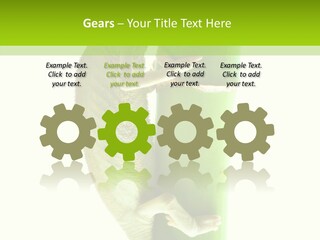 Arboricole Isolated Wild PowerPoint Template