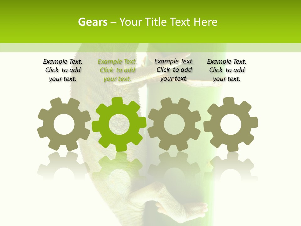 Arboricole Isolated Wild PowerPoint Template