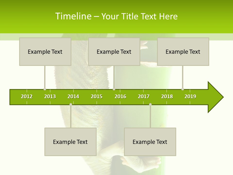 Arboricole Isolated Wild PowerPoint Template