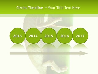 Arboricole Isolated Wild PowerPoint Template