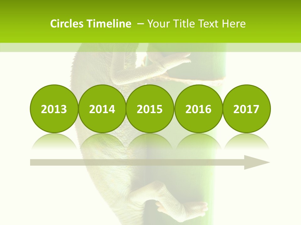 Arboricole Isolated Wild PowerPoint Template