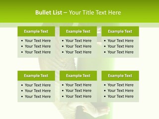 Arboricole Isolated Wild PowerPoint Template