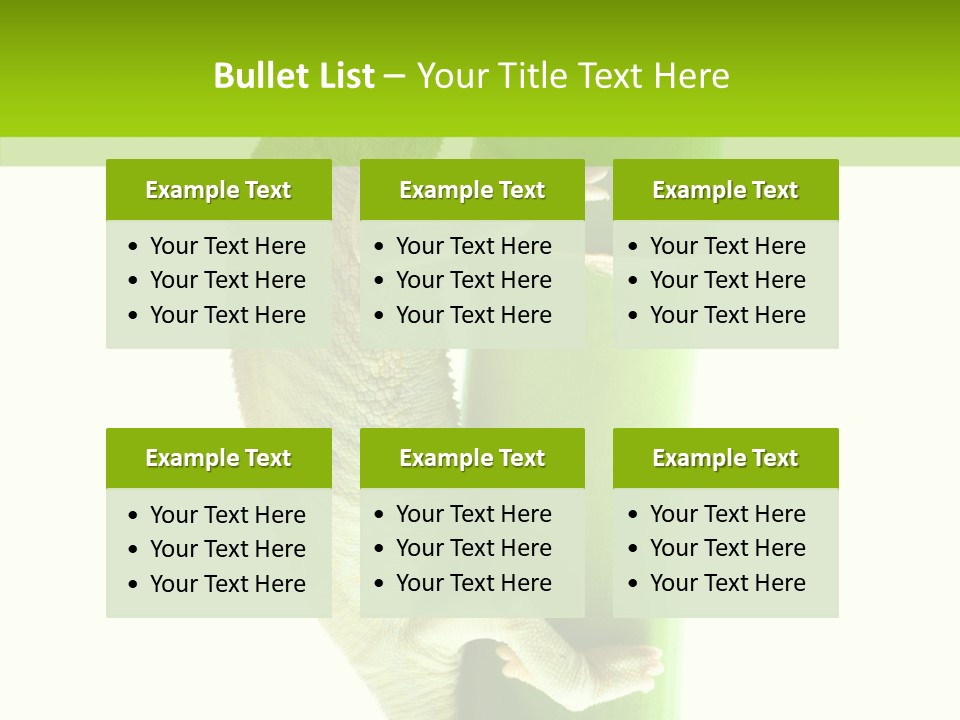 Arboricole Isolated Wild PowerPoint Template