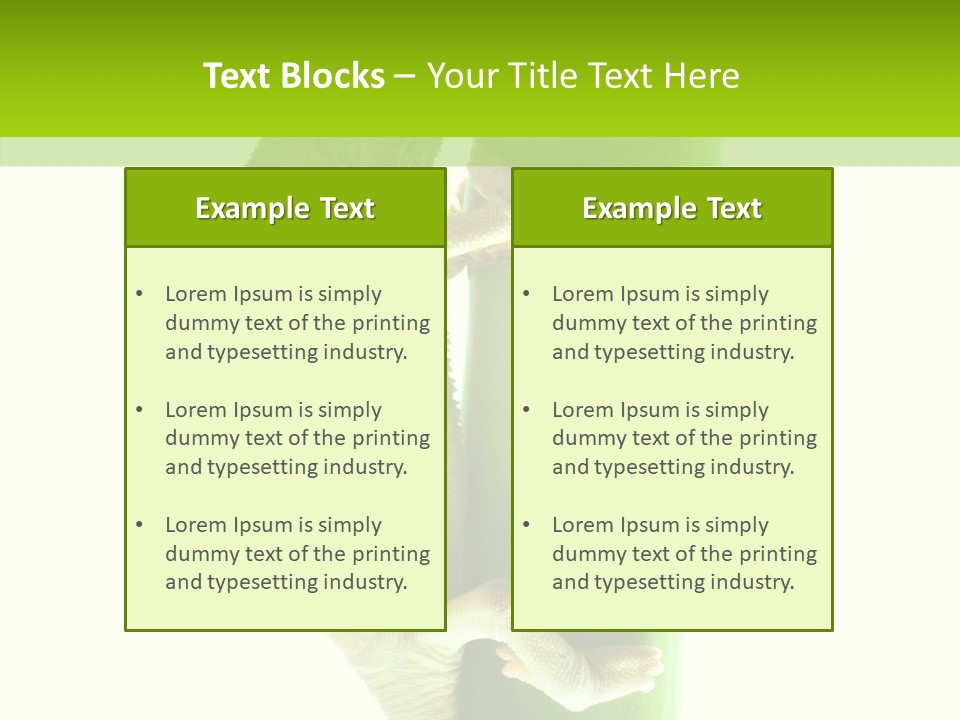 Arboricole Isolated Wild PowerPoint Template