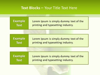 Arboricole Isolated Wild PowerPoint Template