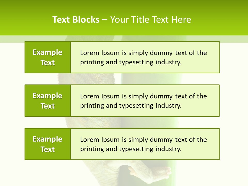 Arboricole Isolated Wild PowerPoint Template
