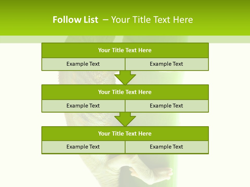 Arboricole Isolated Wild PowerPoint Template