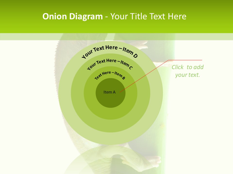 Arboricole Isolated Wild PowerPoint Template