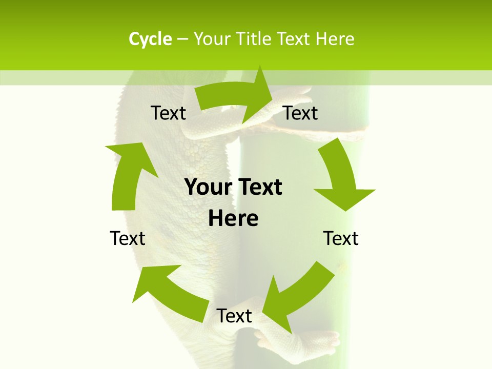 Arboricole Isolated Wild PowerPoint Template