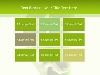 Arboricole Isolated Wild PowerPoint Template