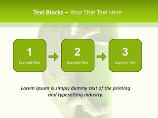 Arboricole Isolated Wild PowerPoint Template
