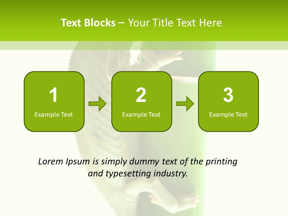 Arboricole Isolated Wild PowerPoint Template