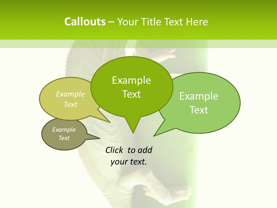Arboricole Isolated Wild PowerPoint Template