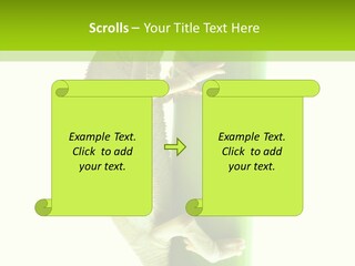 Arboricole Isolated Wild PowerPoint Template