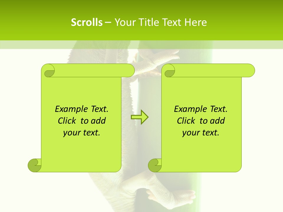 Arboricole Isolated Wild PowerPoint Template