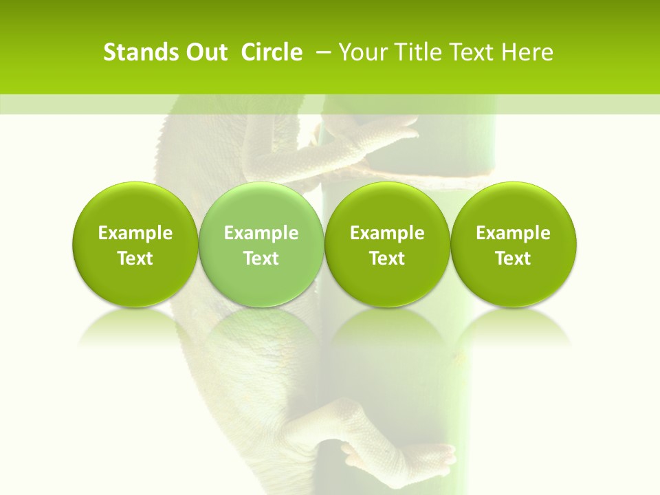 Arboricole Isolated Wild PowerPoint Template