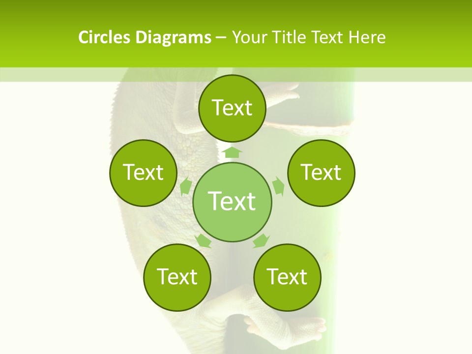 Arboricole Isolated Wild PowerPoint Template