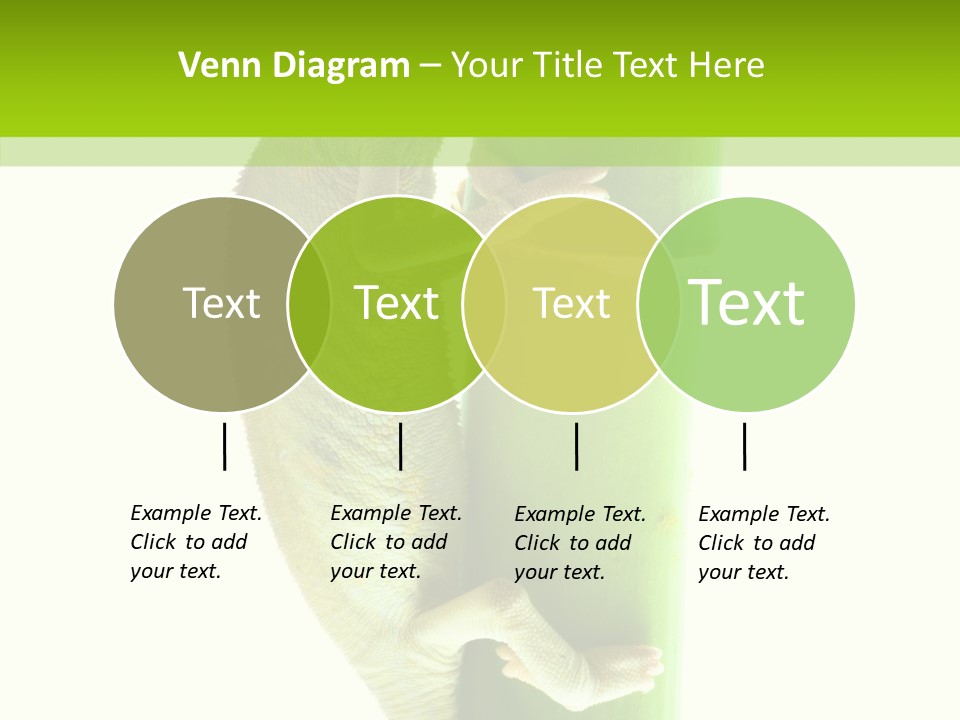 Arboricole Isolated Wild PowerPoint Template