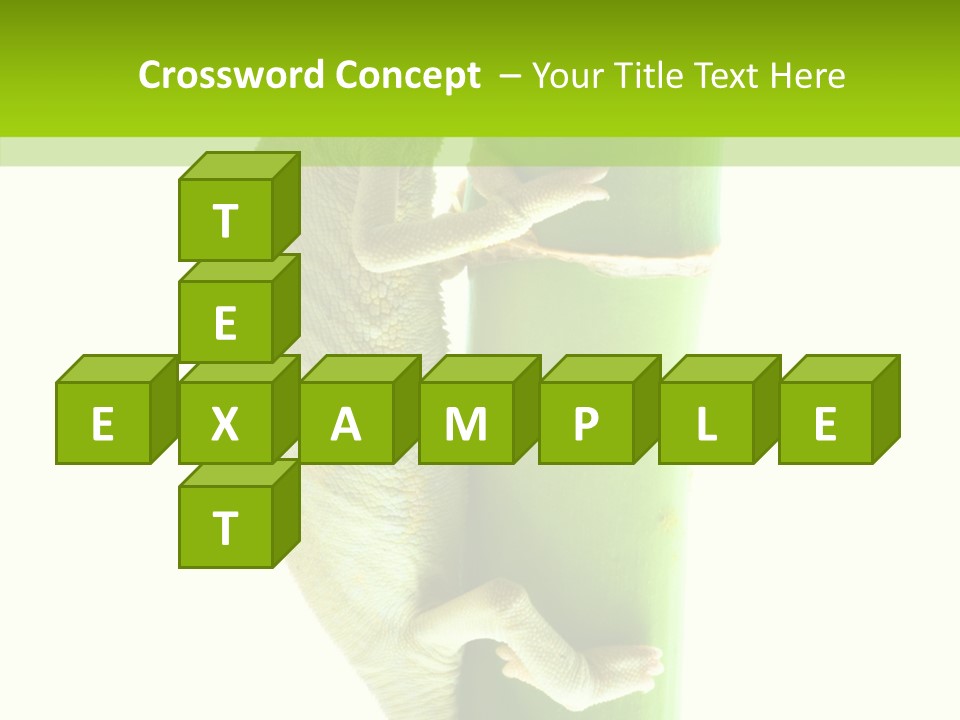 Arboricole Isolated Wild PowerPoint Template