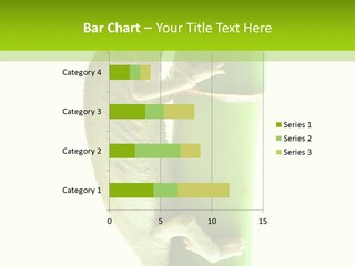 Arboricole Isolated Wild PowerPoint Template