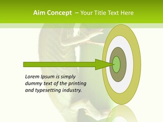 Arboricole Isolated Wild PowerPoint Template