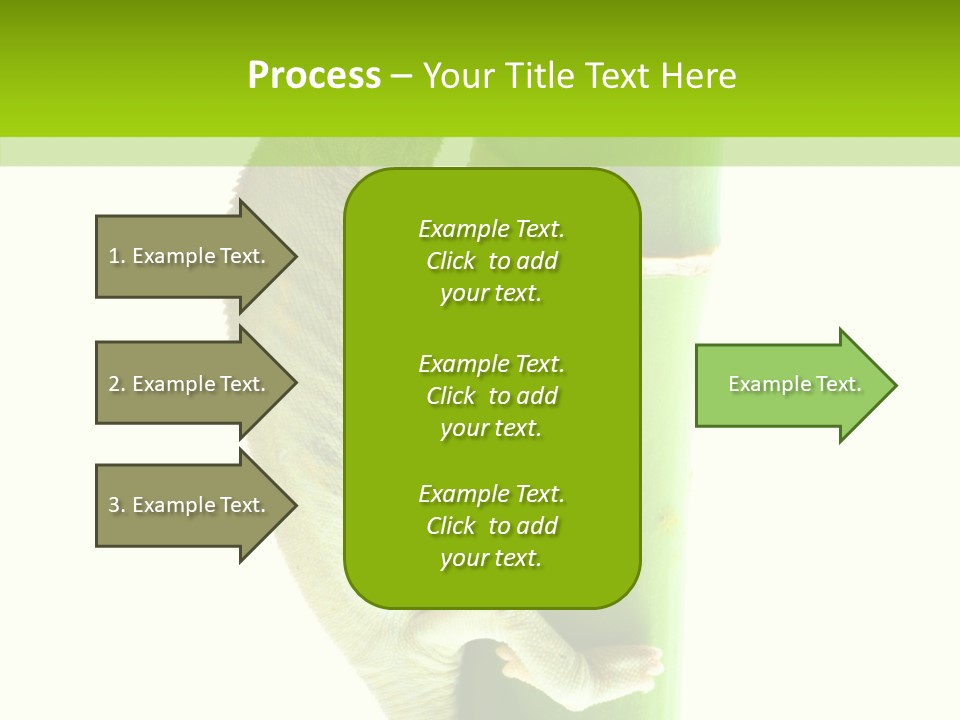 Arboricole Isolated Wild PowerPoint Template