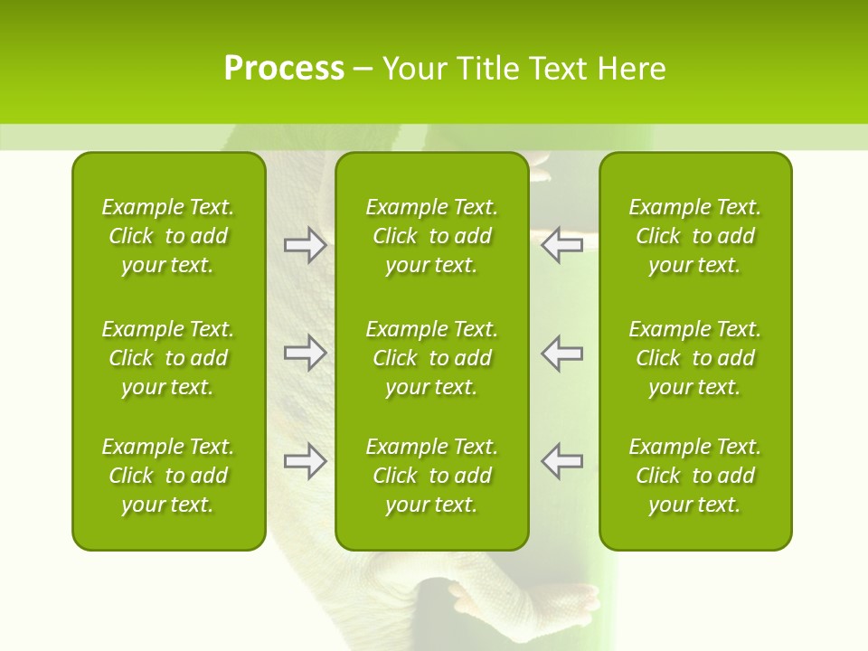 Arboricole Isolated Wild PowerPoint Template