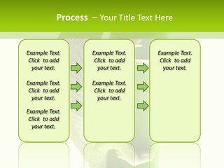 Arboricole Isolated Wild PowerPoint Template