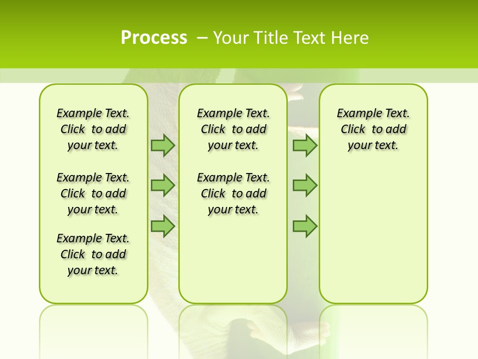 Arboricole Isolated Wild PowerPoint Template