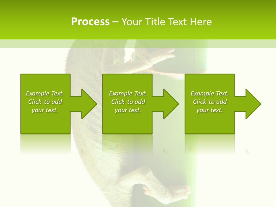 Arboricole Isolated Wild PowerPoint Template