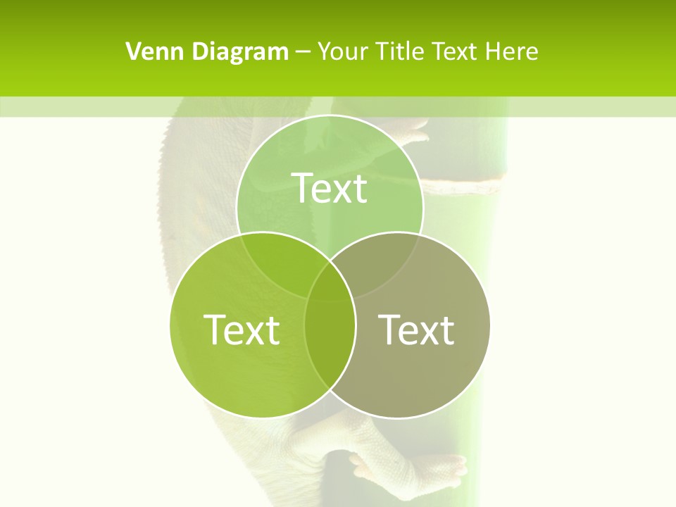 Arboricole Isolated Wild PowerPoint Template