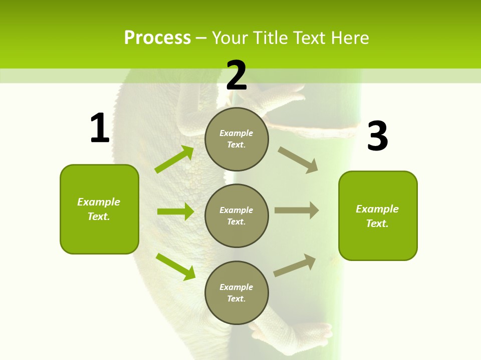 Arboricole Isolated Wild PowerPoint Template