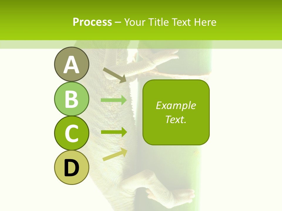 Arboricole Isolated Wild PowerPoint Template